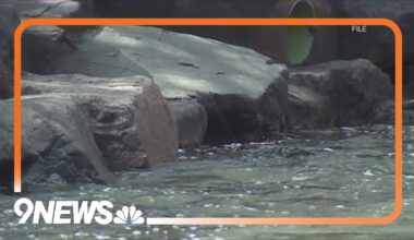 Man dies after being pulled from Boulder Creek