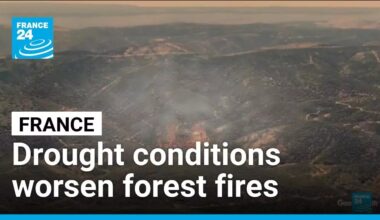 Drought conditions and heatwaves worsen forest fires in France • FRANCE 24 English