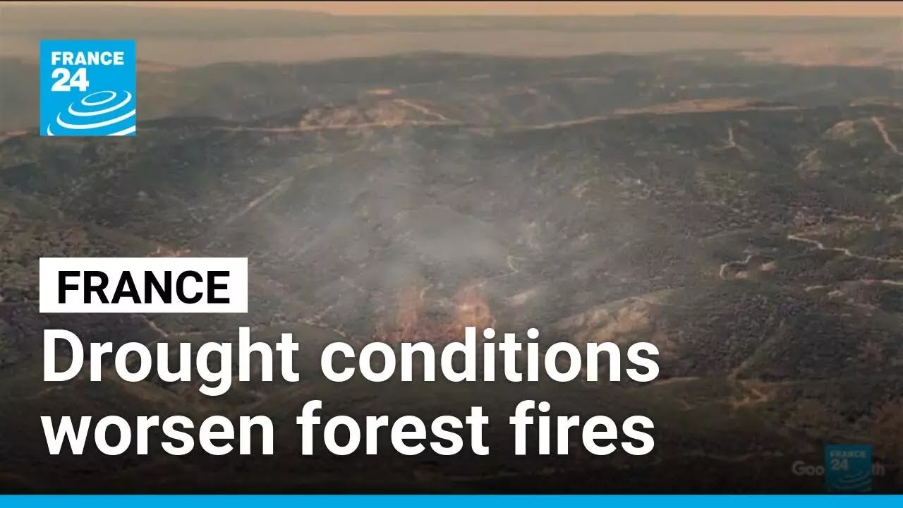 Drought conditions and heatwaves worsen forest fires in France • FRANCE 24 English