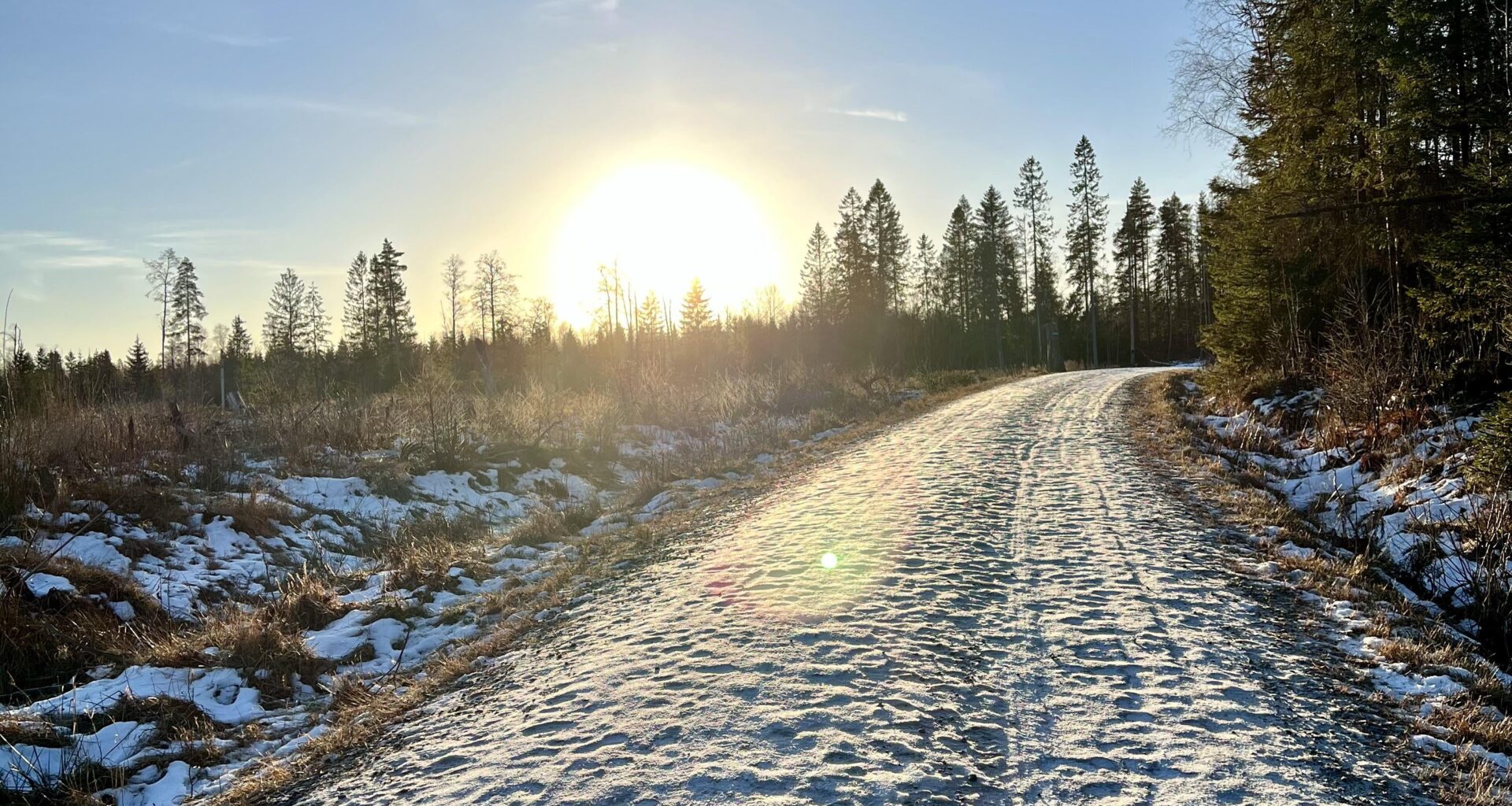 Finally visiting Norway after a postponed Christmas trip (horse injuries: 1, travel plans: 0)