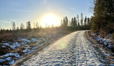 Finally visiting Norway after a postponed Christmas trip (horse injuries: 1, travel plans: 0)