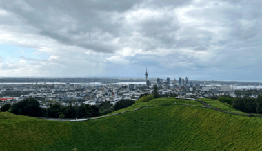 NZ outlines AI strategy to boost economy, cultural challenges to be addressed