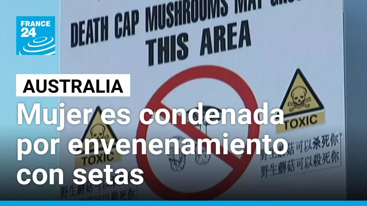 Australia: mujer es condenada por proporcionar hongos venenosos a la familia de su exmarido