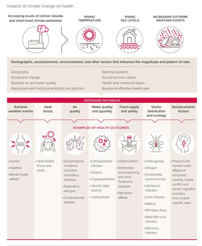 This image shows the impacts of climate change, such as rising temperatures and sea levels and how these will then impact on health and mental wellbeing