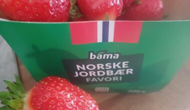 The best in Norway in 5 days