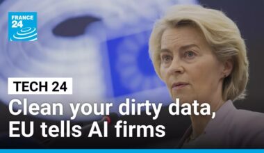 EU orders AI companies to clean up their act, stop using pirated data • FRANCE 24 English