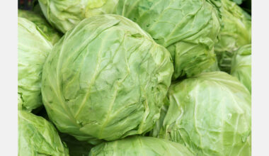 South Korea releases cabbage reserves to stabilize supply