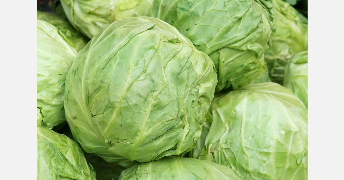 South Korea releases cabbage reserves to stabilize supply