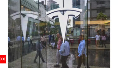Anand Mahindra's message to Elon Musk on Tesla India launch: Meet you at ...