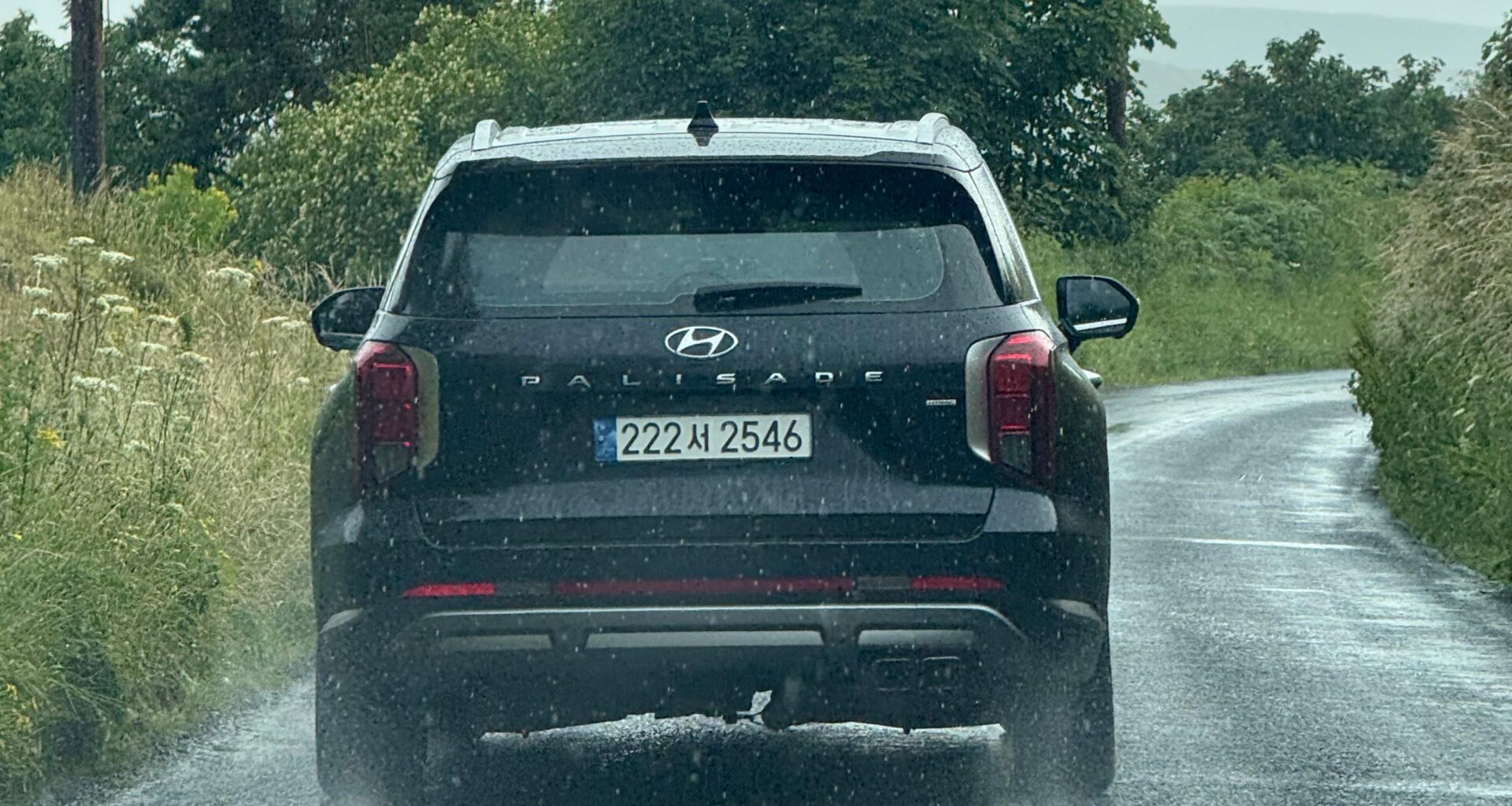 These lads are a long way from home, spotted on Gaults Road on the Antrim Coast