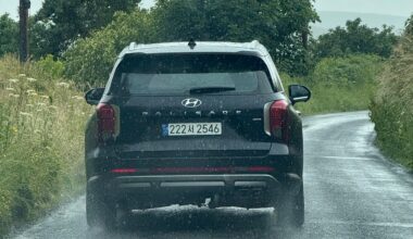 These lads are a long way from home, spotted on Gaults Road on the Antrim Coast
