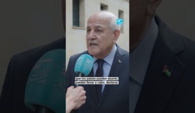 Riyad Mansour, embajador palestino ante la ONU, habló con France 24