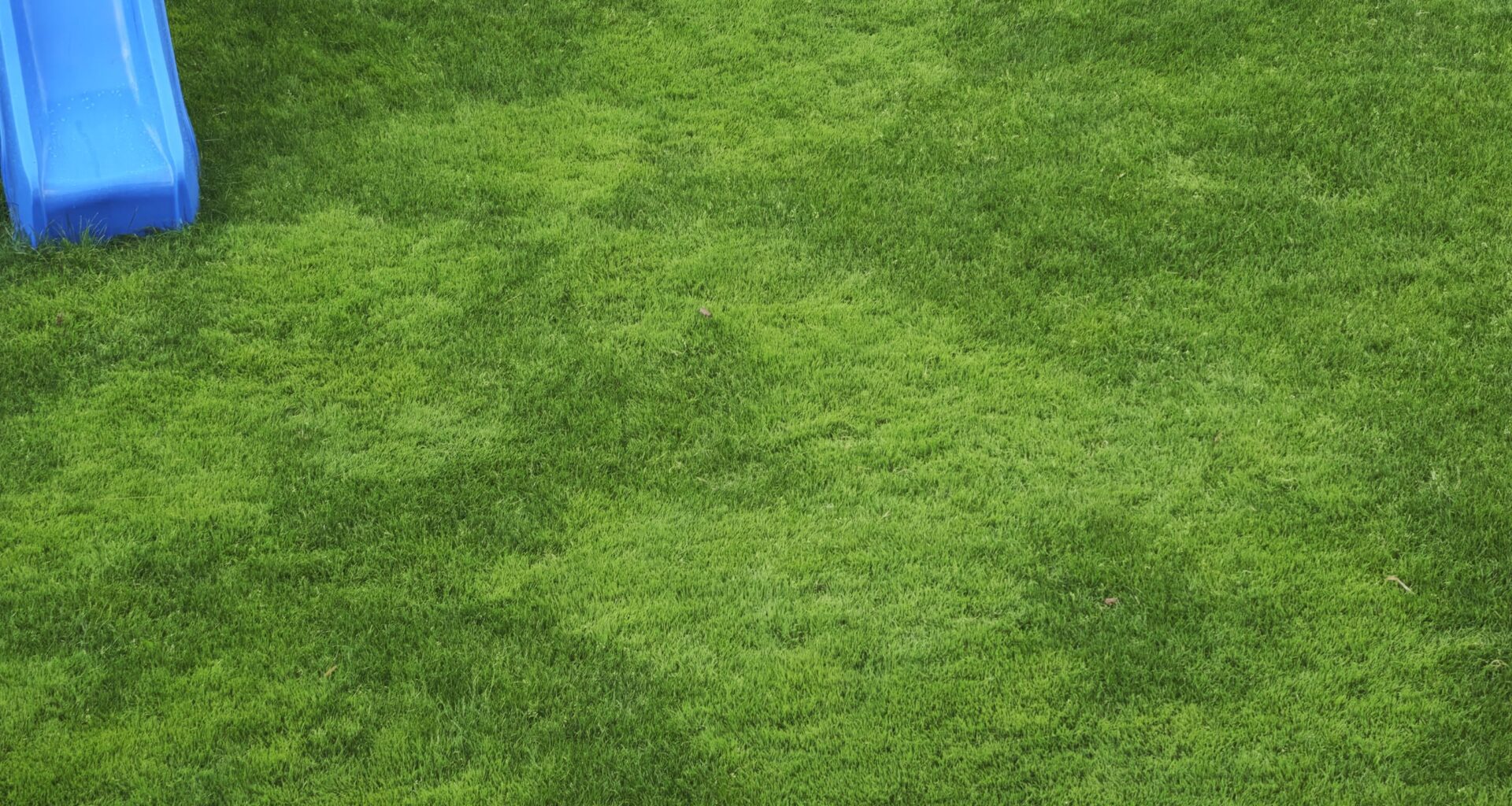 Warum ist mein Rasen inselartig grüner?