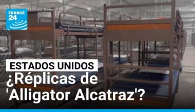 ¿Más 'Alligator Alcatraz'? Trump evalúa nuevas prisiones para migrantes irregulares • FRANCE 24