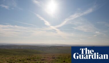 ‘The place is bleached, a dead zone’: how the UK’s most beloved landscapes became biodiversity deserts | National parks