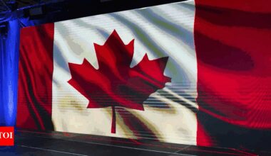 'Canada is a joke': Indian engineer spared from jail after trying to buy 'girlfriend experience' from 15-year-old because...