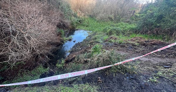 Victims of Waiuku crash an adult and two children