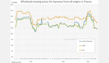 Banana prices drop 17% in Spain, rise 8% in Slovakia