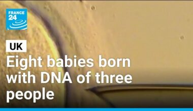 World-first IVF trial reduces risk of babies inheriting diseases • FRANCE 24 English