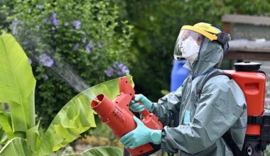 Invasive Art bereits elf Mal in Deutschland entdeckt – Experten alarmiert 