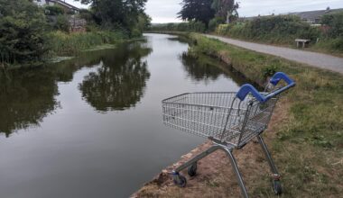 Saw this fellow contemplating life on the Grand Western Canal
