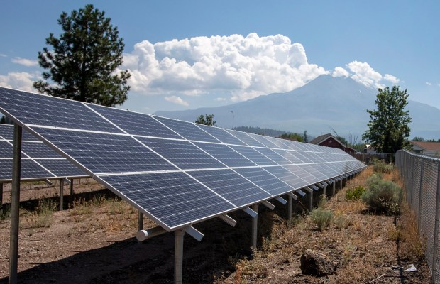 An array of solar panels collects sunshine in the foreground of Mount Shasta in Weed, Calif., Wednesday, Aug. 3, 2022. (Karl Mondon/Bay Area News Group)