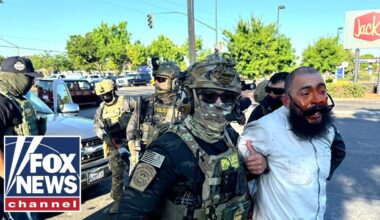 EXCLUSIVE: Inside Home Depot raid in California by Border Patrol