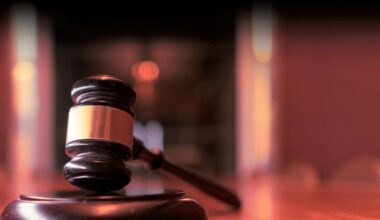 Immigration fraud under garb of consultancy amounts to organised human trafficking: HC