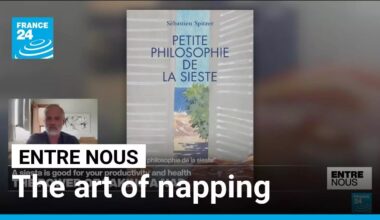 The art of napping: How siestas are the key to a more productive life • FRANCE 24 English