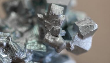 China’s Bureaucratic Playbook for Critical Minerals