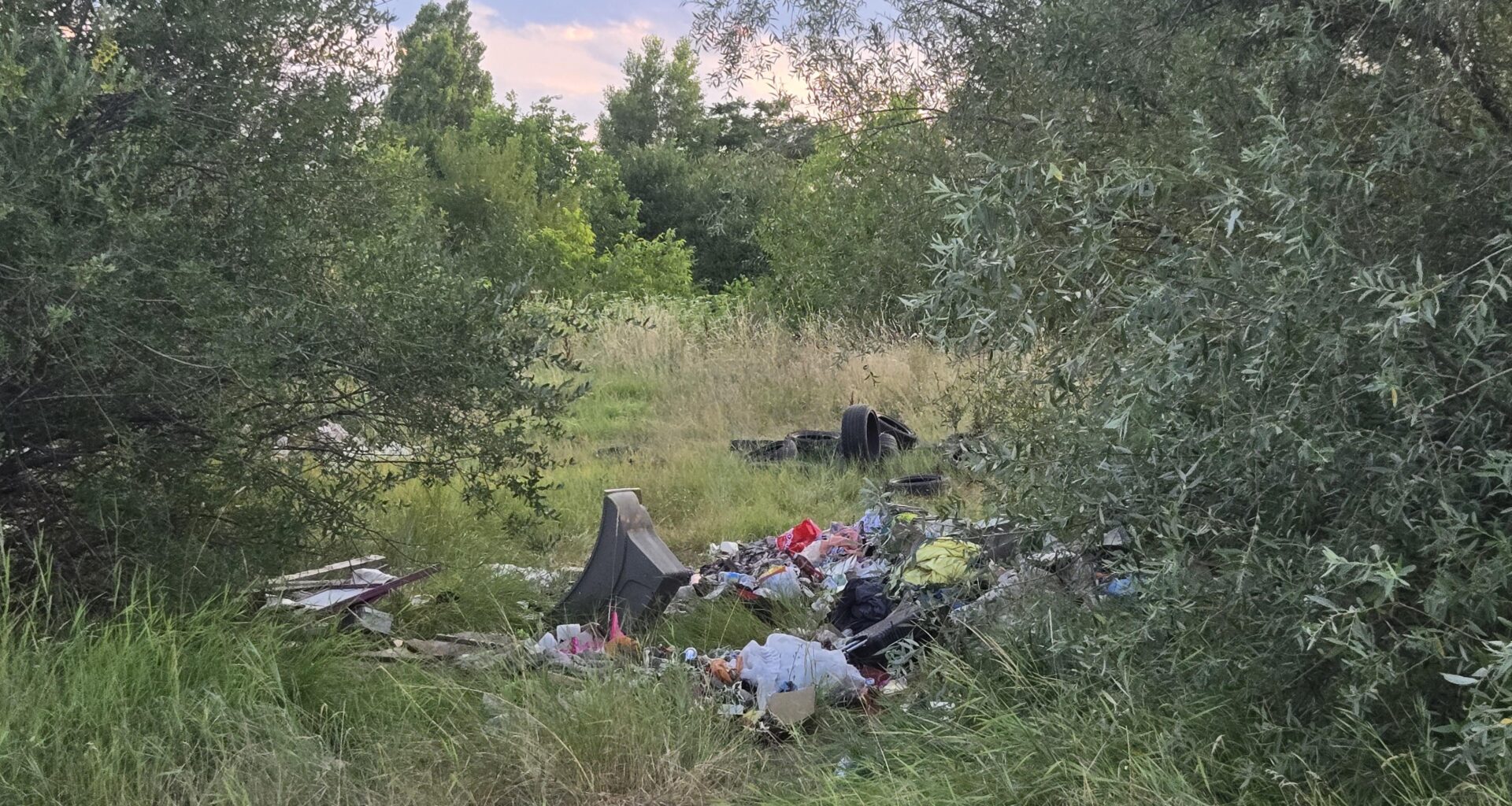 Европа няма да ни съсипе страната...справяме се чудесно сами