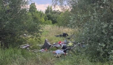 Европа няма да ни съсипе страната...справяме се чудесно сами