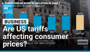 Will Trump's trade war finally start affecting US inflation? • FRANCE 24 English