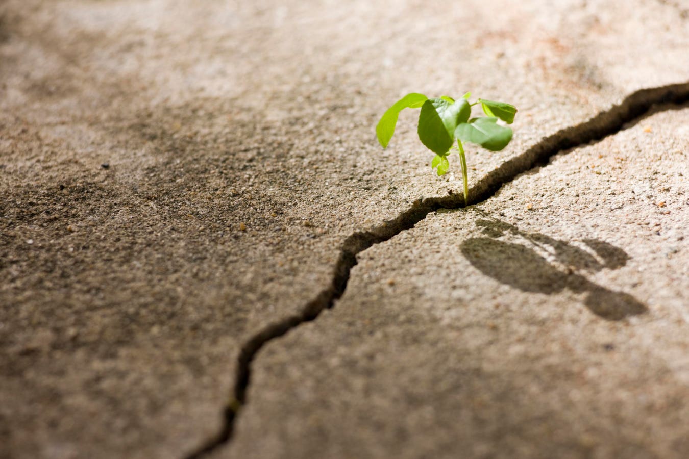 The Quiet Comeback Of Structural Alpha In A Crowded Market