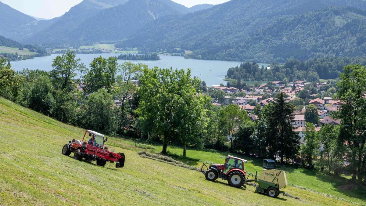 EU-Agrarsubventionen: Bär sieht Flächenprämie kritisch
