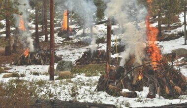 Tahoe receives approval of first two fuels reduction projects under Governor Newsom’s fast-tracking