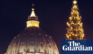 Campaigners in Italy urge pope to stop ‘sacrifice’ of 200-year-old tree for Xmas | Vatican