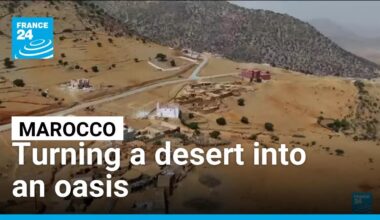 Turning a desert into an oasis: Maroccan scientists transform fog into drinking water • FRANCE 24
