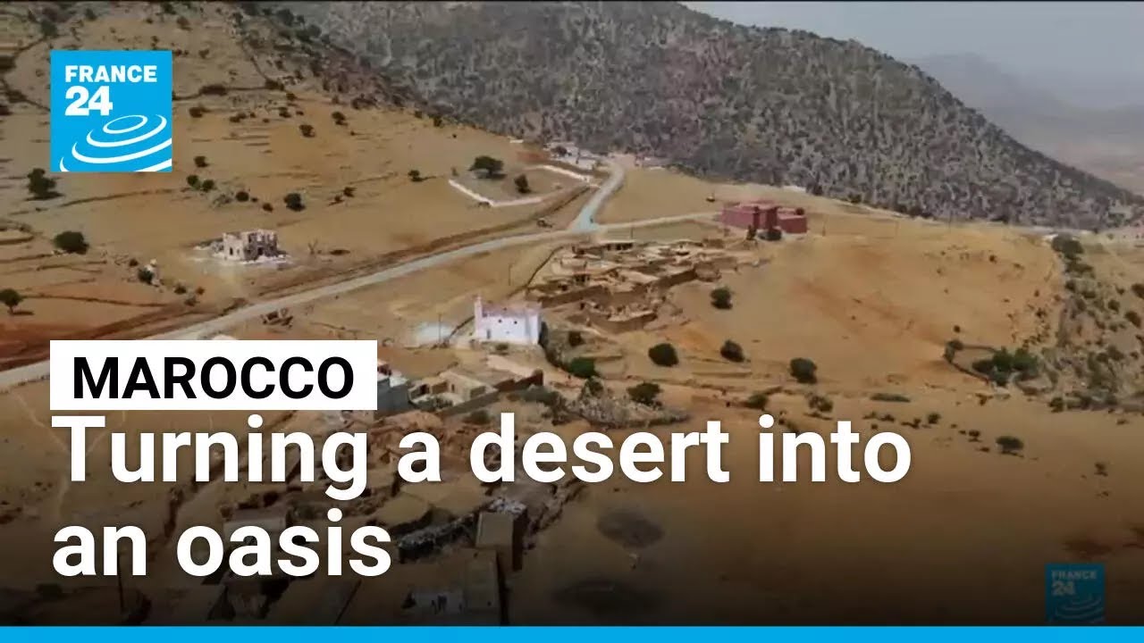 Turning a desert into an oasis: Maroccan scientists transform fog into drinking water • FRANCE 24
