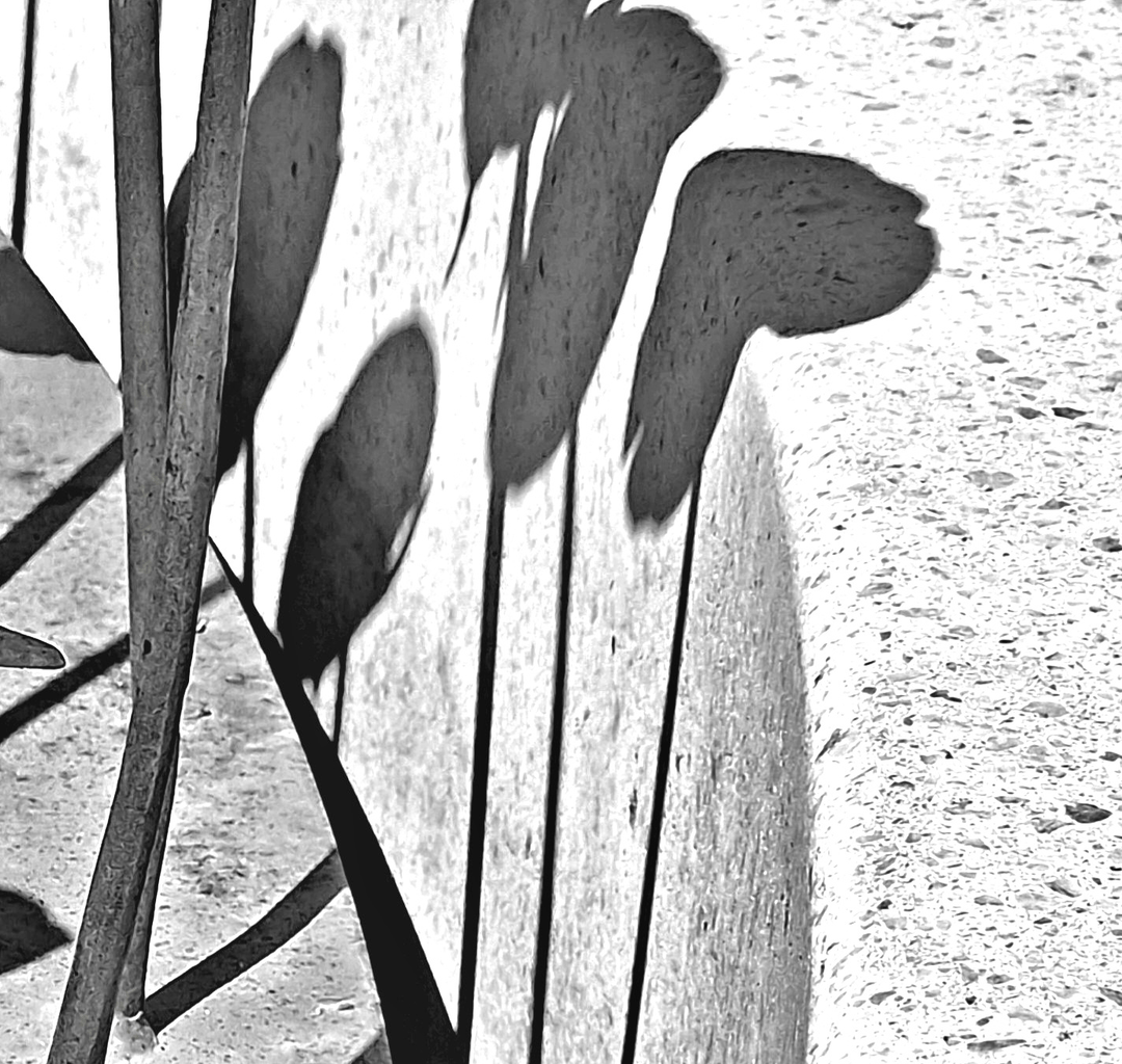 iron roses: a memorial to the the victims of the july 22 2011 massacre