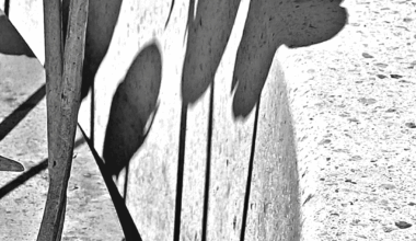 iron roses: a memorial to the the victims of the july 22 2011 massacre