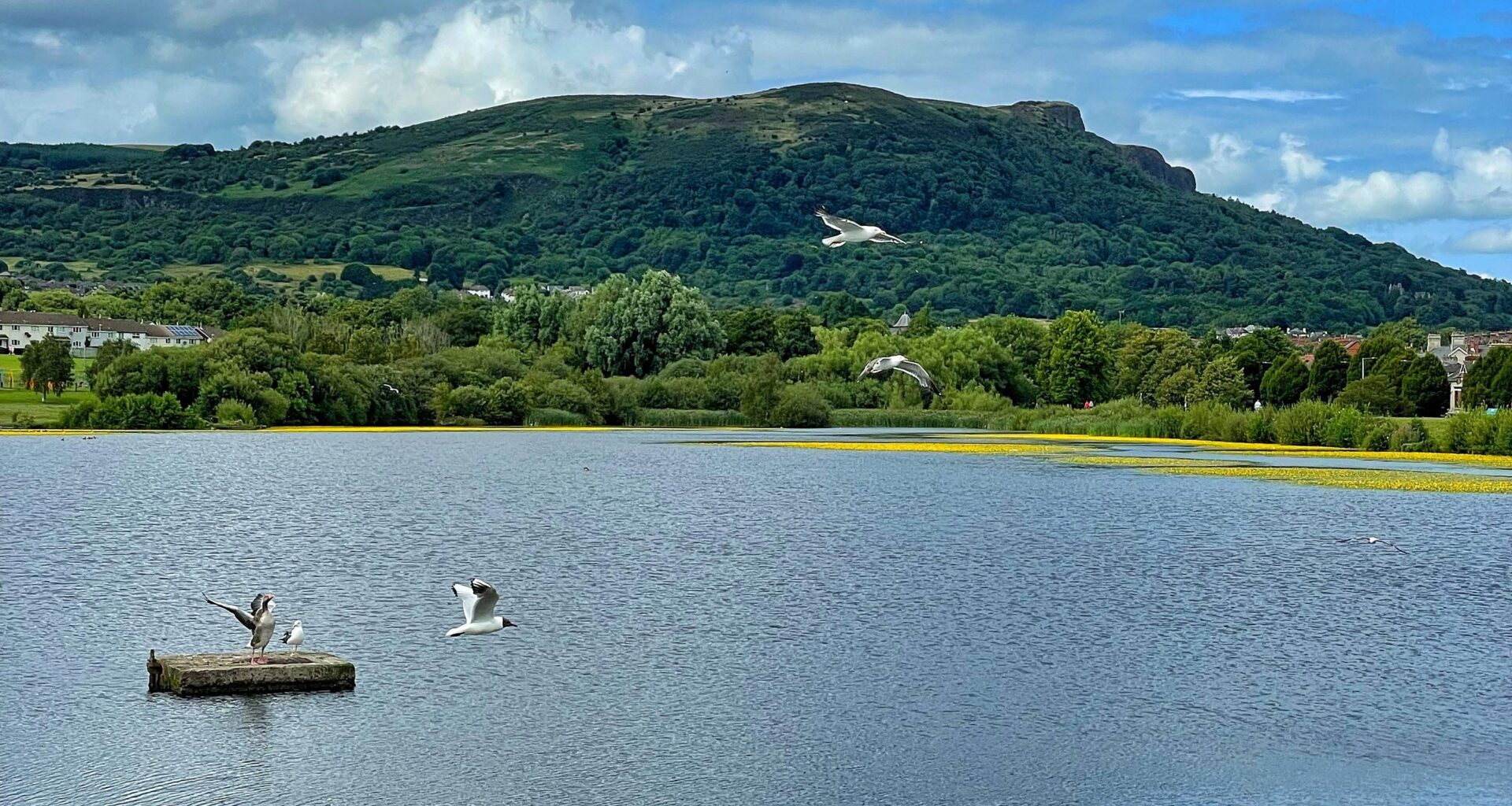 Favourite public park?