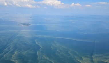 Blue-green algae blooms intensify as heatwave continues across Finland | Yle News