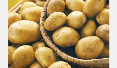 Potato sales slow as early crop pressures markets