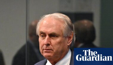 Trade minister to warn Trump’s tariff wars could see Australia ‘suffer’ for generations | Australian foreign policy