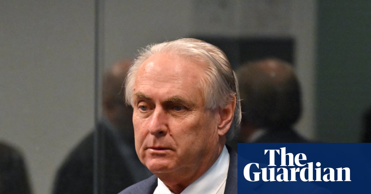 Trade minister to warn Trump’s tariff wars could see Australia ‘suffer’ for generations | Australian foreign policy
