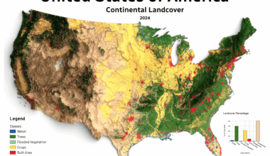 [OC]U.S Landcover Map for Year 2024