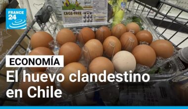Huevos sin control en Chile: crece el contrabando desde Bolivia y se extiende a Perú y Argentina