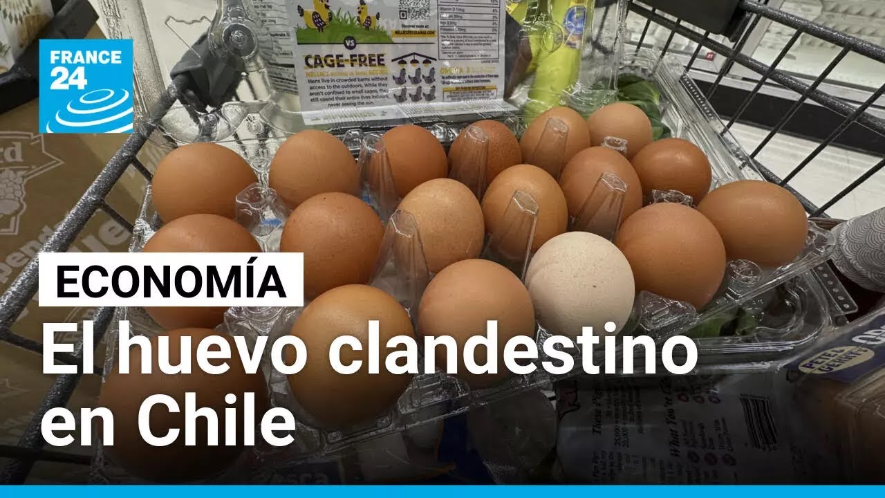 Huevos sin control en Chile: crece el contrabando desde Bolivia y se extiende a Perú y Argentina