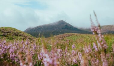 View of Leum Uilleim (the hill seen in Trainspotting) through the heather